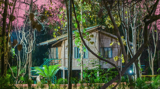 Night-time exterior view of Nature Trails Sajan resort cabin nestled among tall trees with pink-toned sky, lush foliage, and warm lit structure.