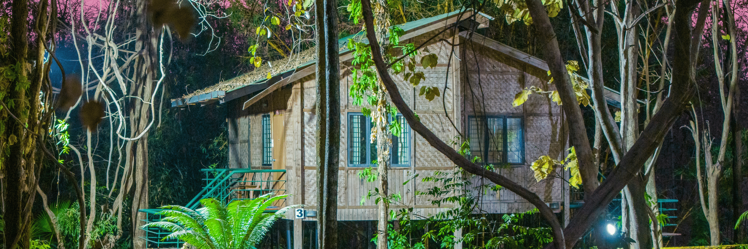 Night-time exterior view of Nature Trails Sajan resort cabin nestled among tall trees with pink-toned sky, lush foliage, and warm lit structure.