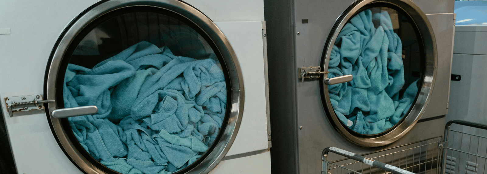 pexels-tima-miroshnichenko-8774650