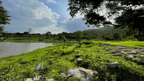 A peaceful lakeside scene with bright green grass, scattered rocks and trees, and forested hills under a partly cloudy sky with sunlight filtering through.