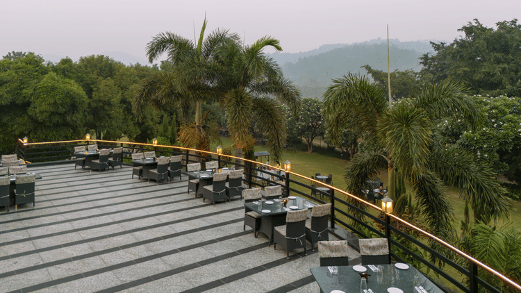 The Deck