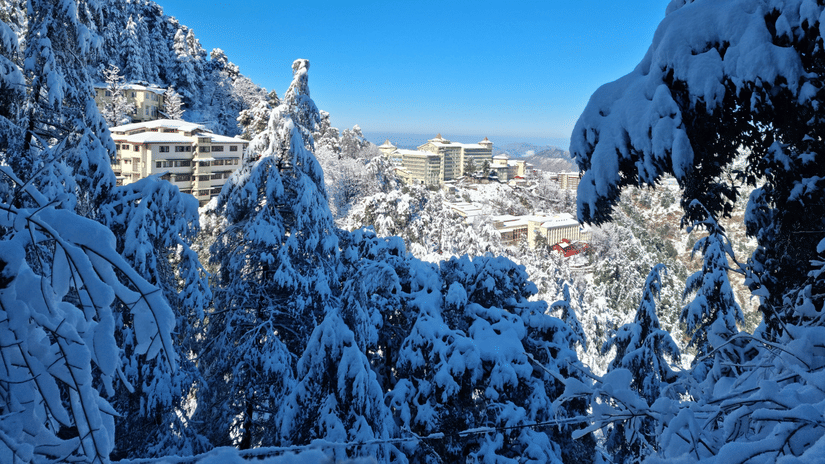 A snowy mountain landscape on a sunny day with snow-laden trees in the foreground framing a view of a snow-covered town in the valley below.