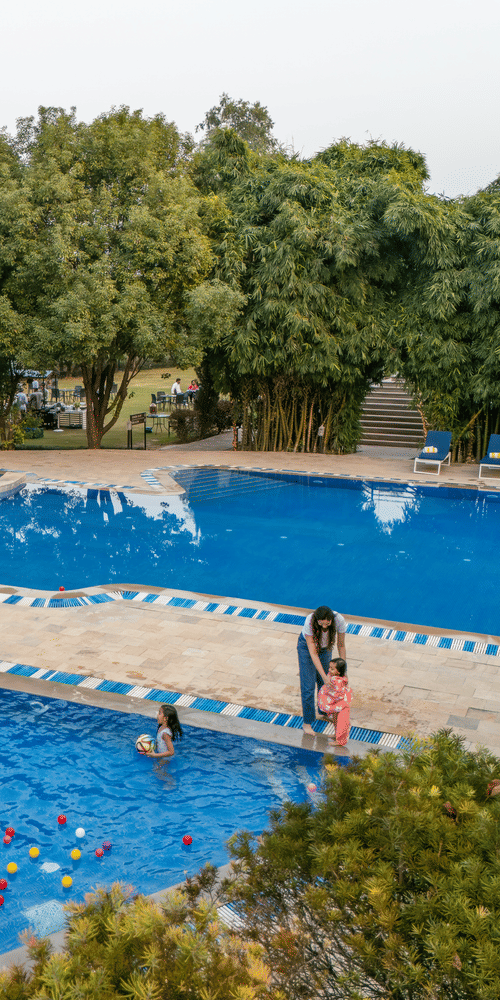 swimming pool with surrounding greenery and buildings in the background at The Golden Tusk, Jim Corbett