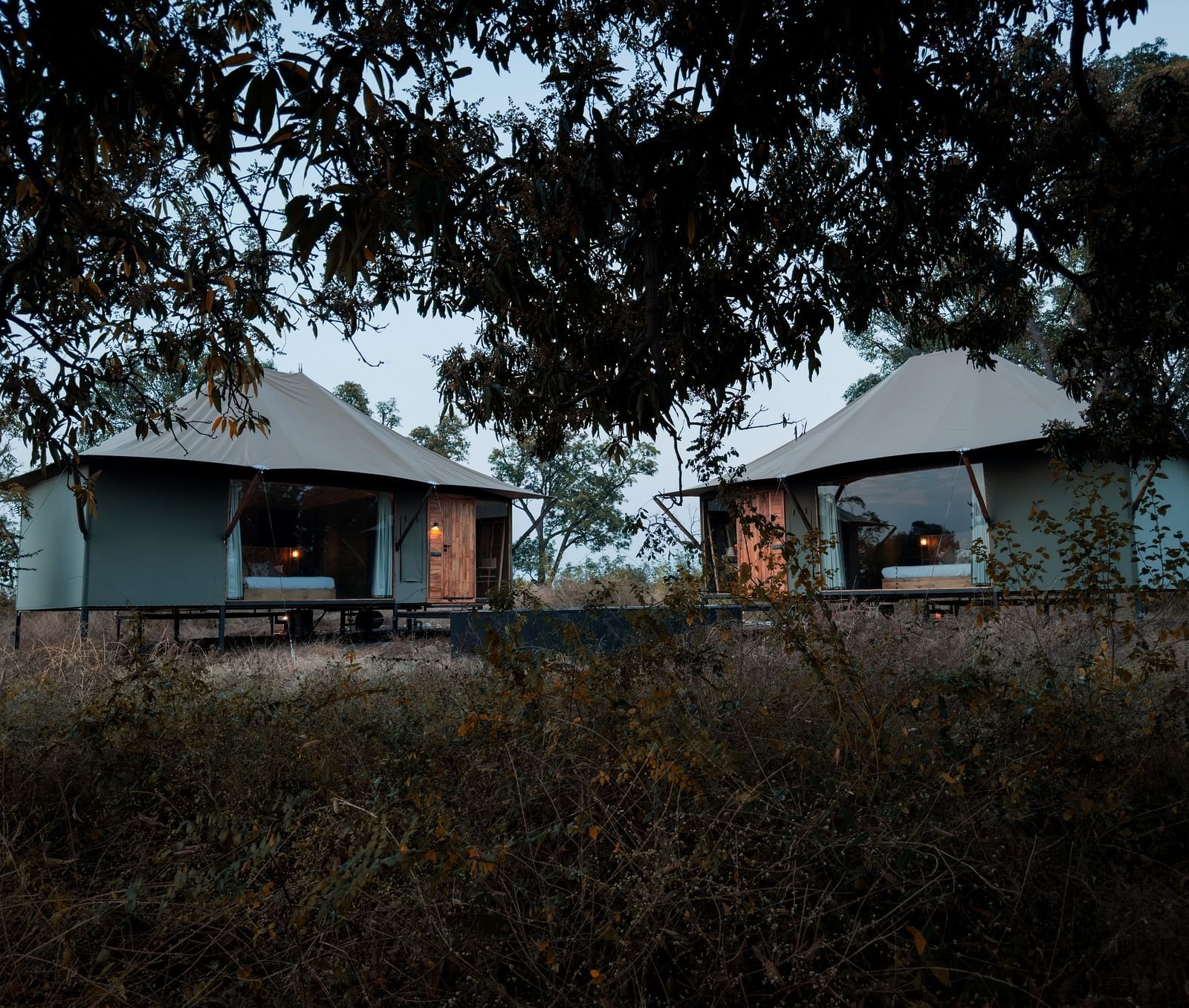 A far out view of Twin Tents surrounded by greenery at Trees N Tigers, Tadoba.