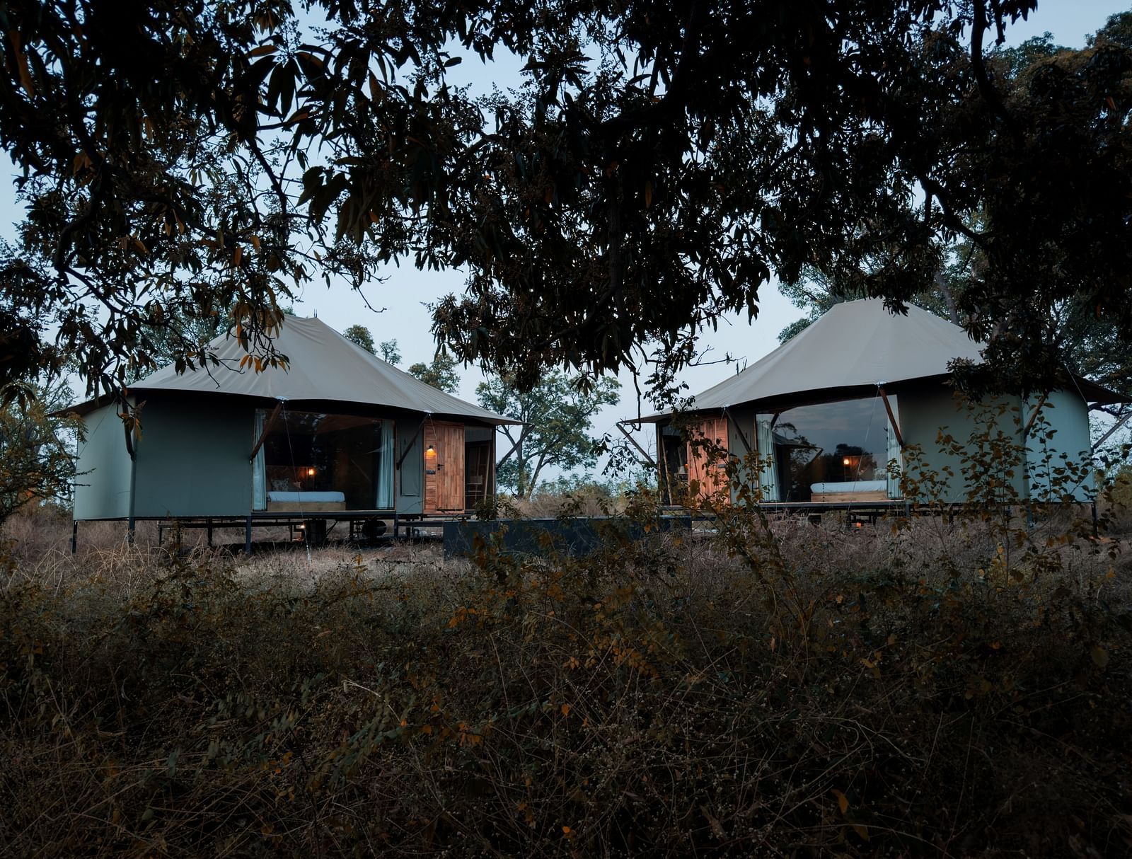 A far out view of Twin Tents surrounded by greenery at Trees N Tigers, Tadoba.