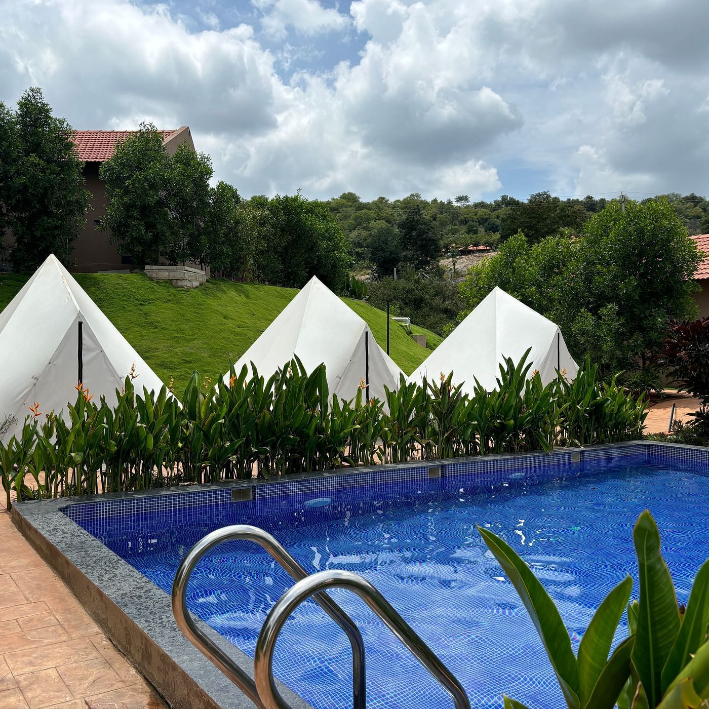 A scenic view of a resort area with pool and tents lined along a neat walkway, surrounded by a well-maintained lawn.