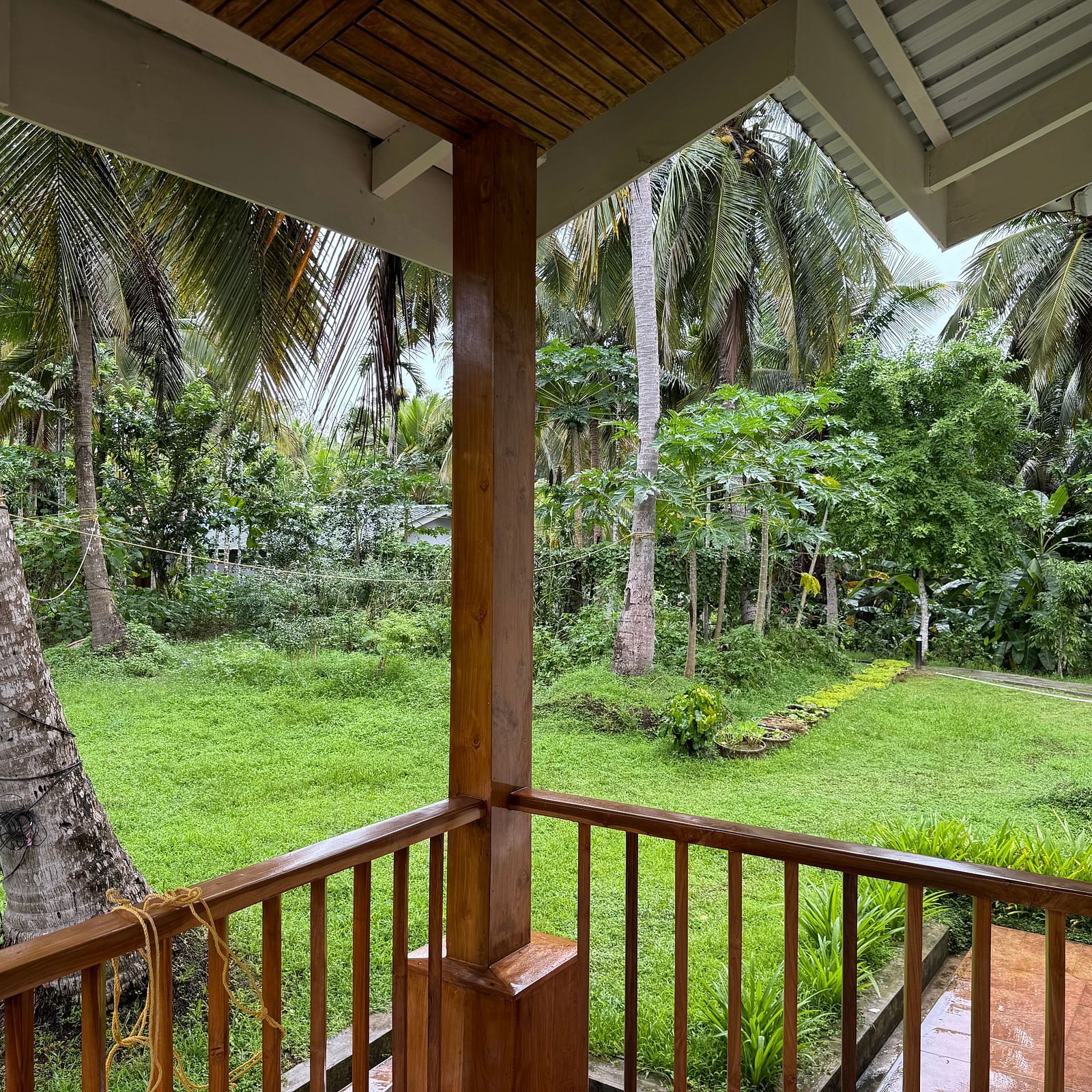 A wooden balcony or veranda overlooking a lush green area with numerous palm trees and tropical foliage.