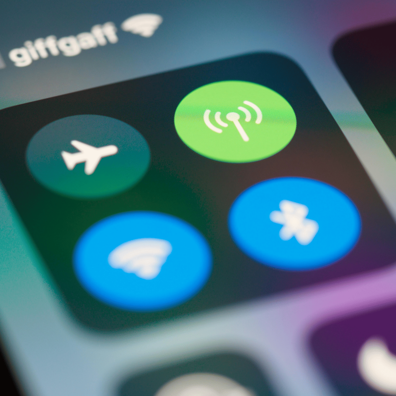 pexels-brettjordan-5703425