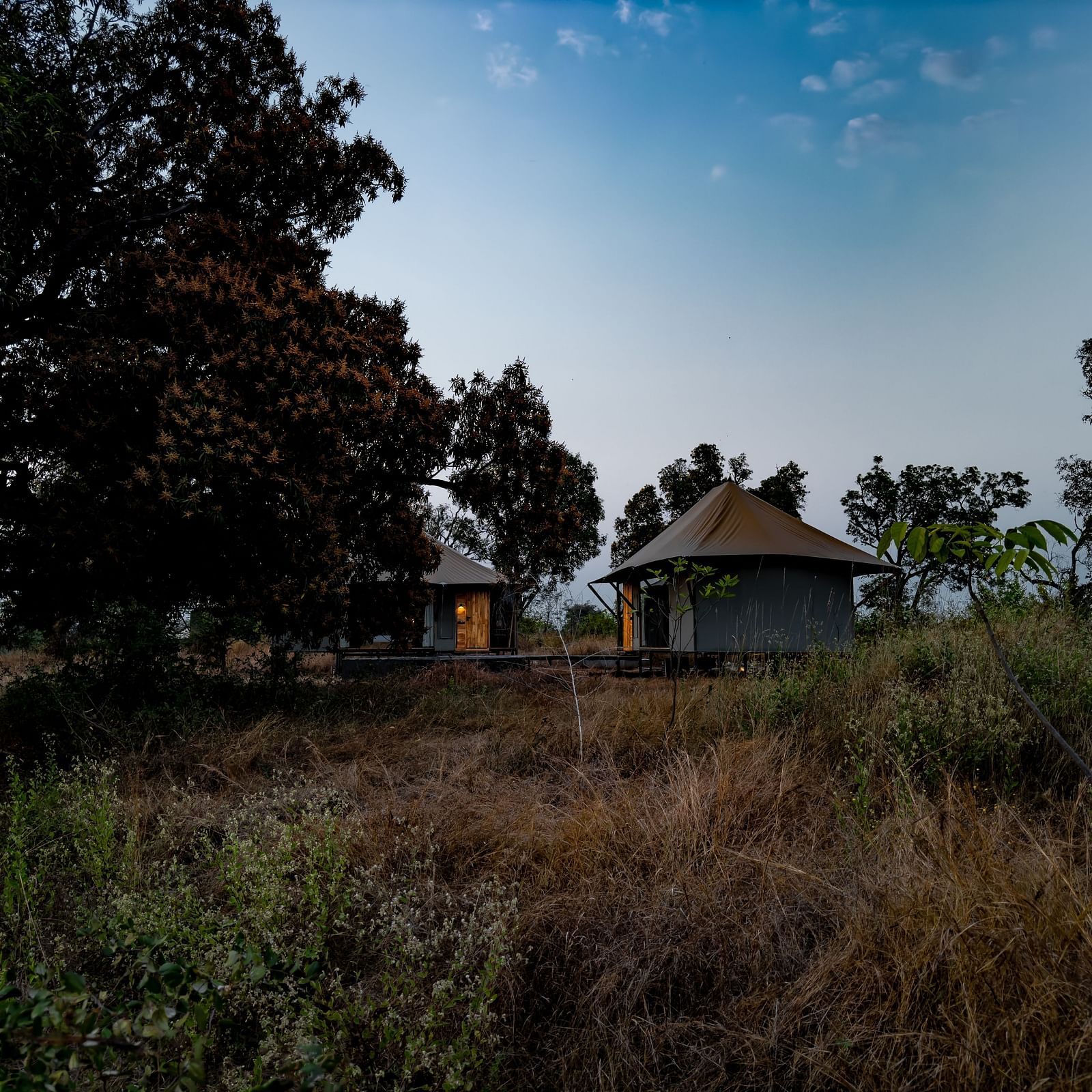 Facade view of the family stay at Trees N Tigers, Tadoba.