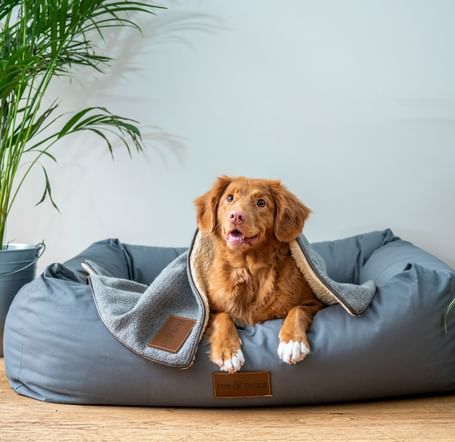 jamie-street-s9Tf1eBDFqw-unsplash