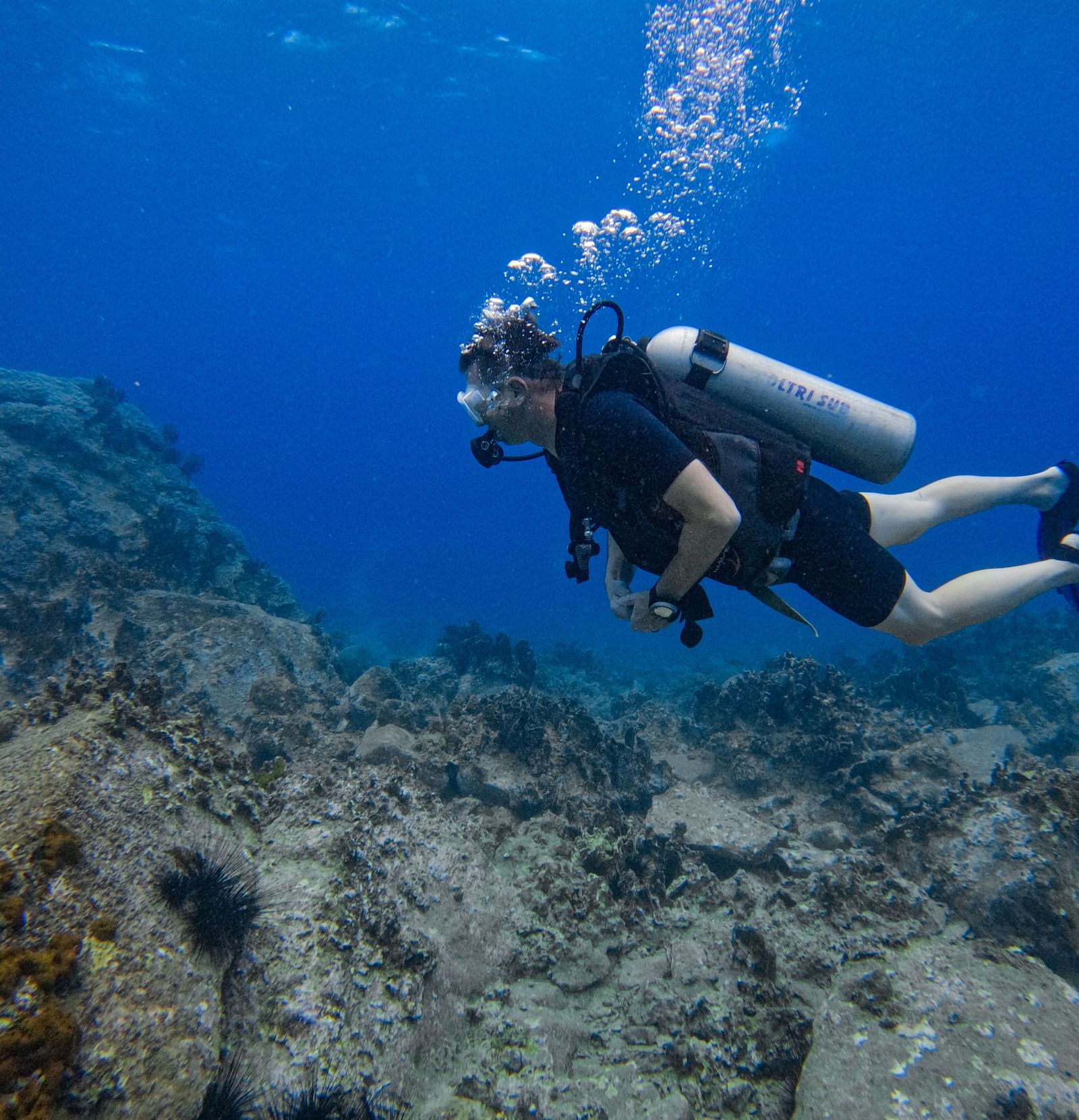 Scuba diving in crystal-clear waters with coral reefs and marine life, offering a thrilling underwater experience at Alibu Resort.