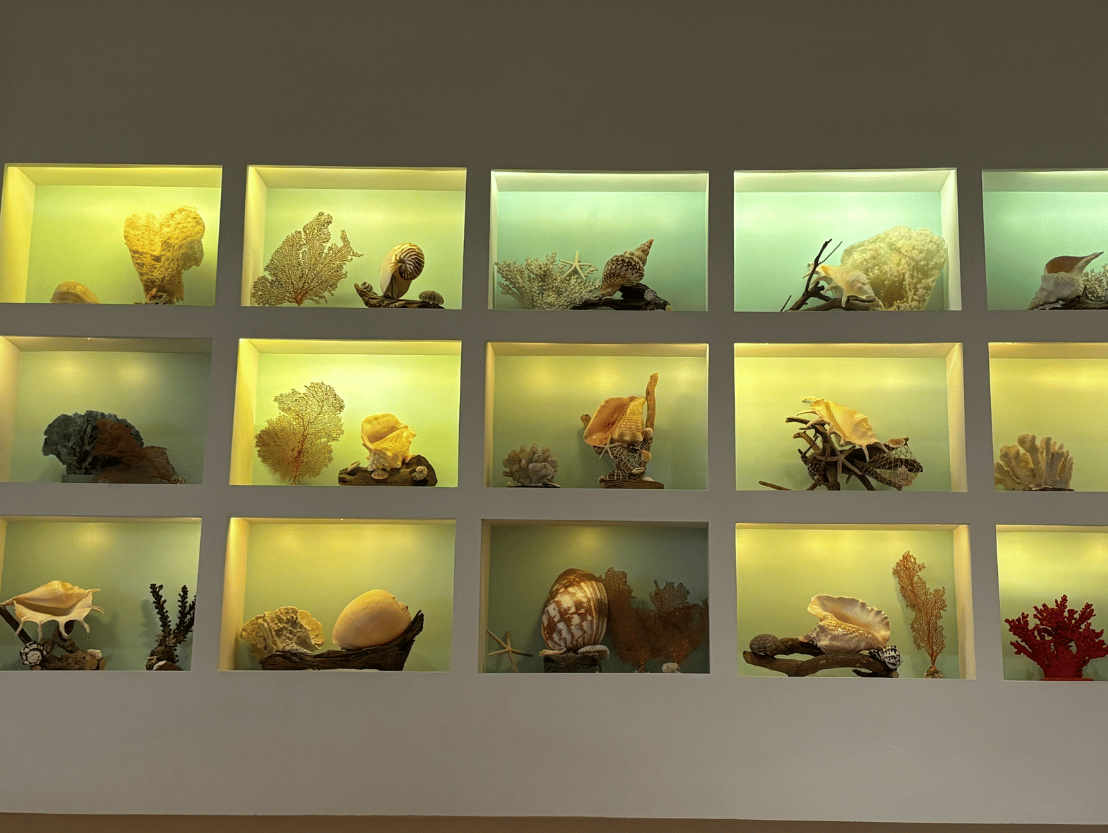 A display case houses various colourful rocks and minerals.