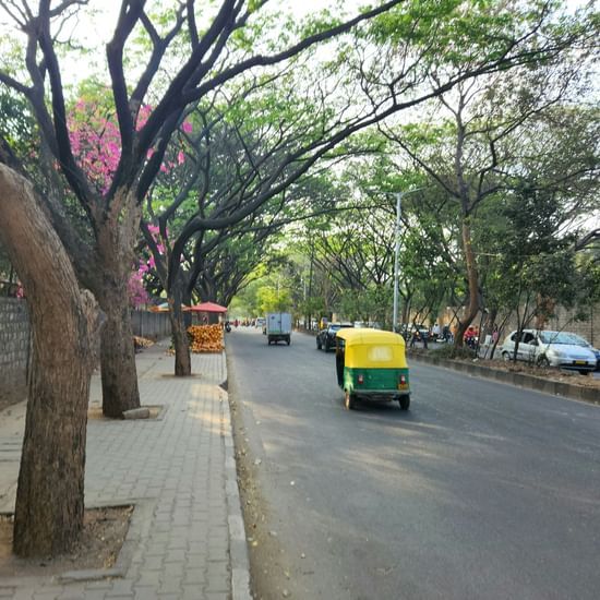 A street-level view of a road in Bengaluru, India. Large trees with thick, twisted trunks and arching branches line the left side of the street, forming a canopy. A paved sidewalk runs alongside a low stone wall. An autorickshaw, painted yellow and green, 