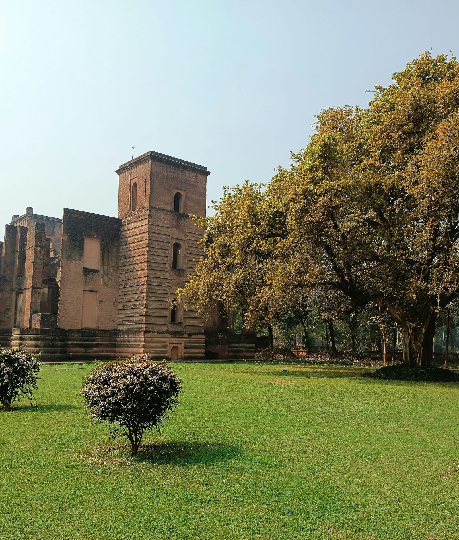 A wide, distant view of an ancient red stone building beneath a clear sky, with trees covering half of the building