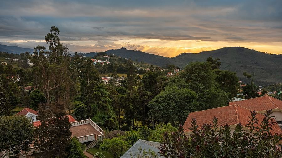 An image of the restaurant situated amidst the hilly area filled with trees | Mango Hill, Kodaikanal
