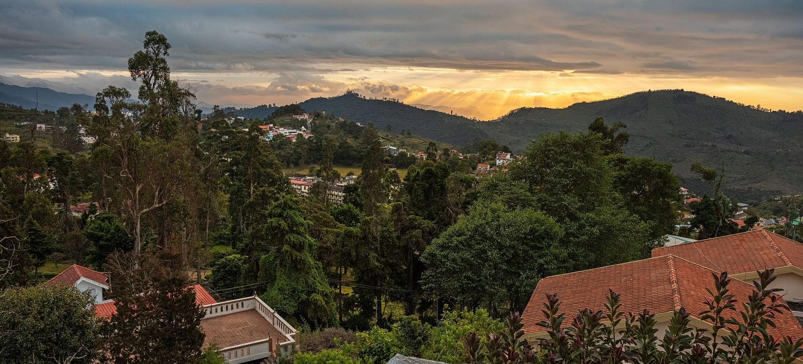 An image of the restaurant situated amidst the hilly area filled with trees | Mango Hill, Kodaikanal