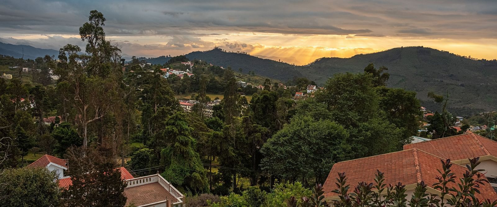 An image of the restaurant situated amidst the hilly area filled with trees | Mango Hill, Kodaikanal