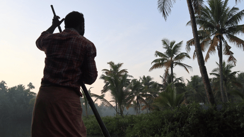 a close up shot of a fisherman rowing his boat with many coconut trees in view