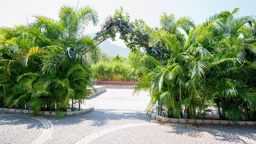 The entrance to Enchante venue at Darza Resort features a stone pathway curves through lush green palm trees and flowering vines under a bright sky
