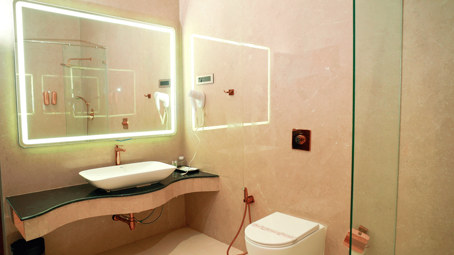 A bathroom with a sink, a toilet, and a shower area at DNC Shevaroys Resorts and Spa.