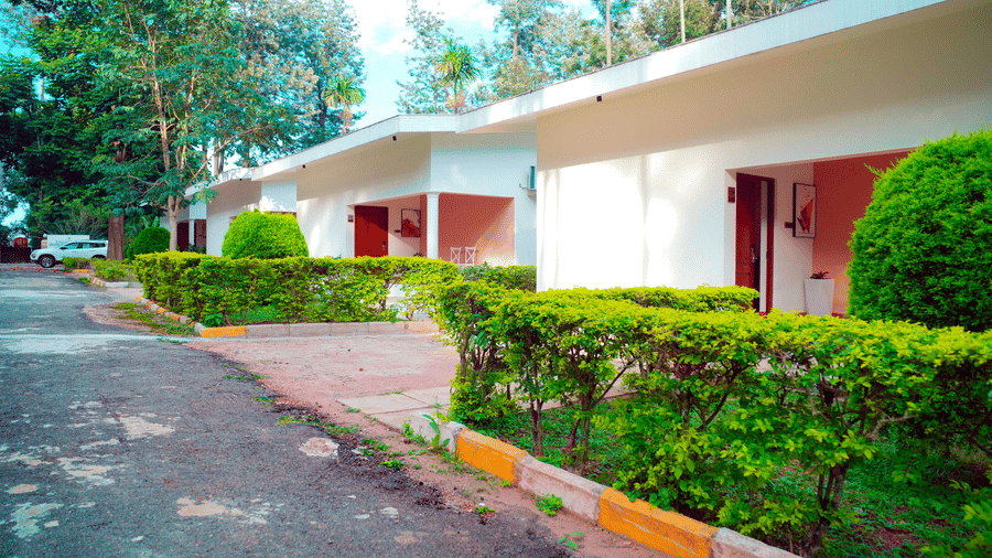 Row of Luxury Villas at DNC Shevaroys Resort & Spa with manicured green hedges and a paved path leading through the grounds.