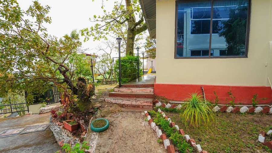 Facade of Flutter Hotels and Resorts with potted plants and sandy path.
