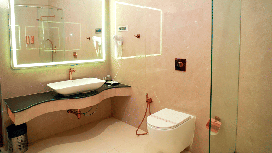 A bathroom with a sink, a toilet, and a shower area at DNC Shevaroys Resorts and Spa.