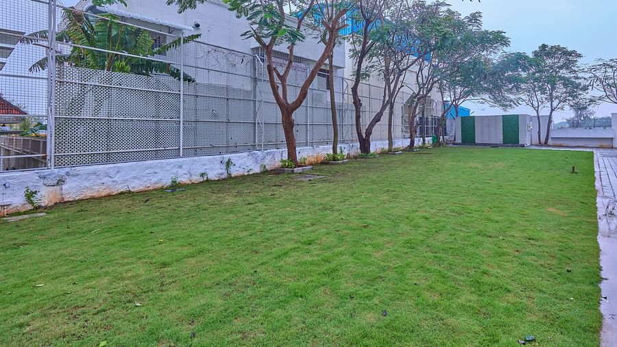 trees beside Rathas - the outdoor event venue at Grand Continent, Mahabalipuram