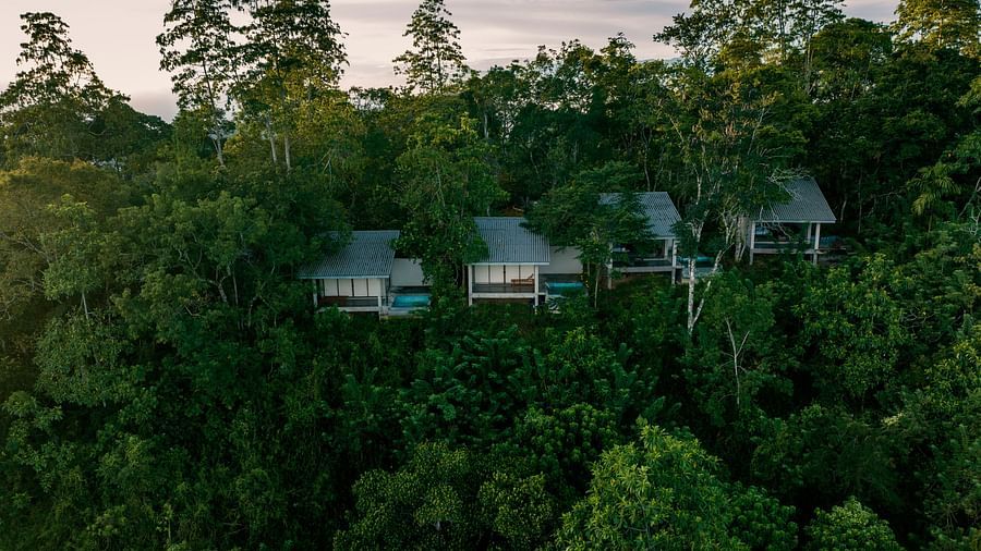 An aerial view of the villas surrounded by trees | Celestial Hills - Villas & Suites by the Clarks, Kandy