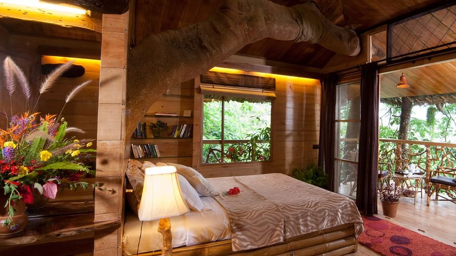 Tree House Tranquil Resort Wayanad7