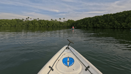 The front of a kayak seen during a mangrove boating ride in Pondicherry navigating through the backwaters surrounded by lush greenery under a partly cloudy sky.