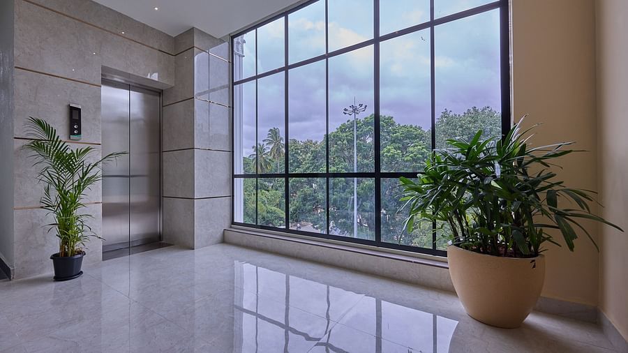 An image of lush green trees seen through a glass window on a floor in our hotel