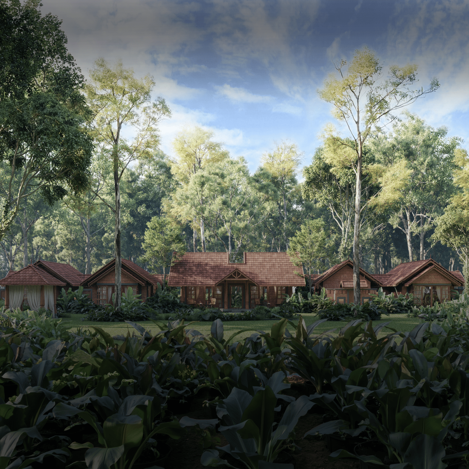 IMAGES 01- WITH BLACK OVERLAY