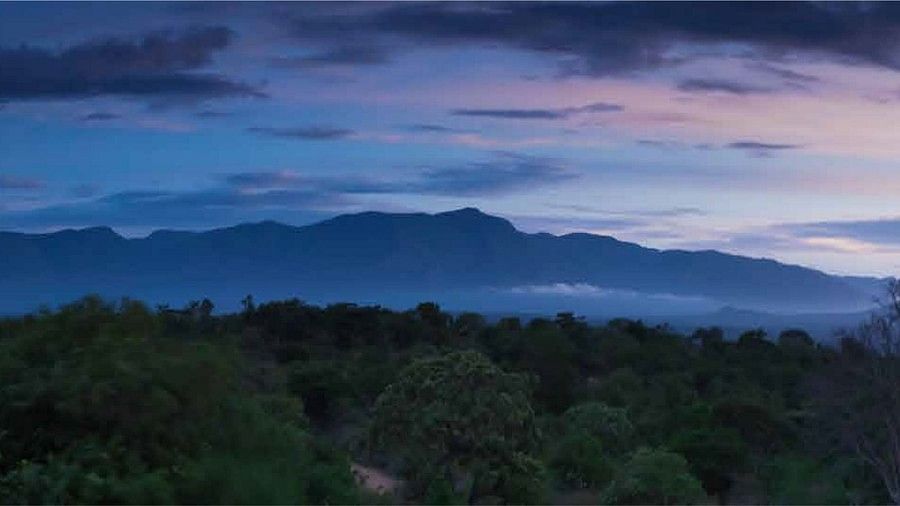 the multi-coloured sky during a gorgeous sunset