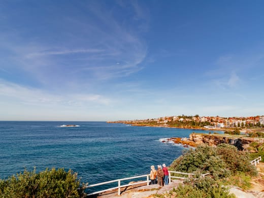 A coastal viewpoint looking out over the bay