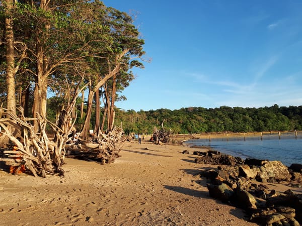 The mangrove-fringed beach at Chidiya Tapu, Port Blair — a sunset and birdwatching point
