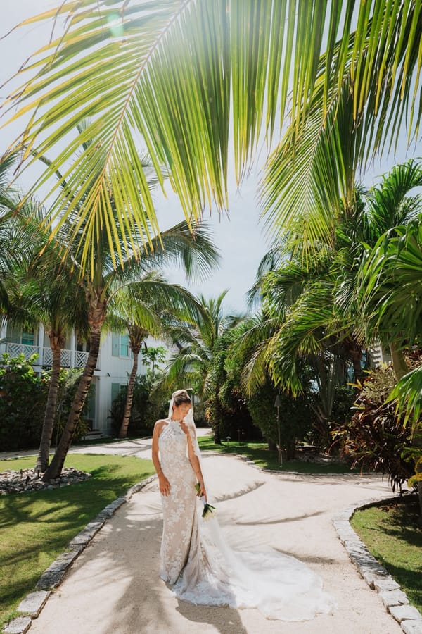 Bride in her gown among the palms at Abaco Inn