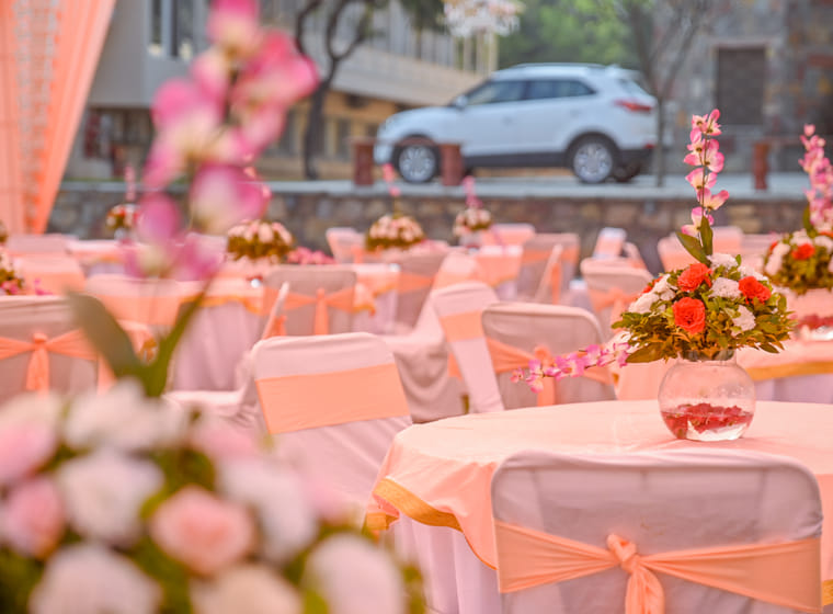 Wedding at Fateh Niwas, Udaipur