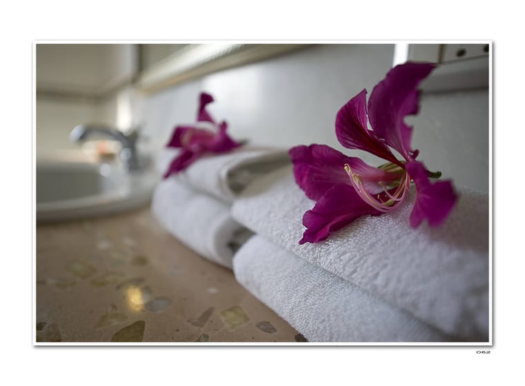 Sansha Spa at Fateh Niwas, Udaipur