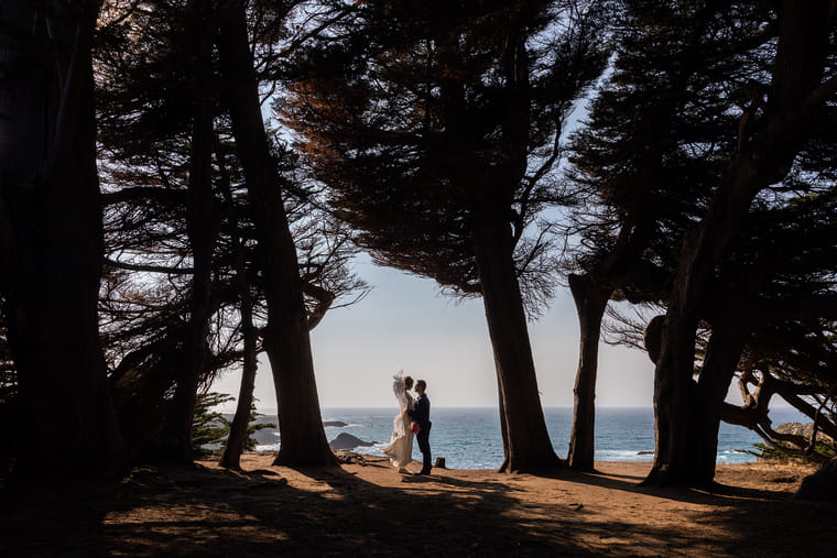 A couple standing beneath the redwoods near Brewery Gulch Inn