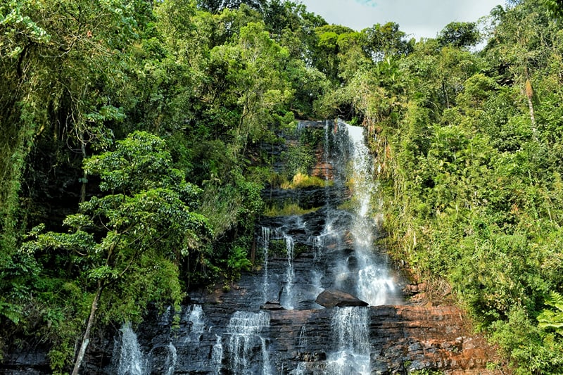 Jhari Waterfalls tumbling over dark rocks amid lush green forest