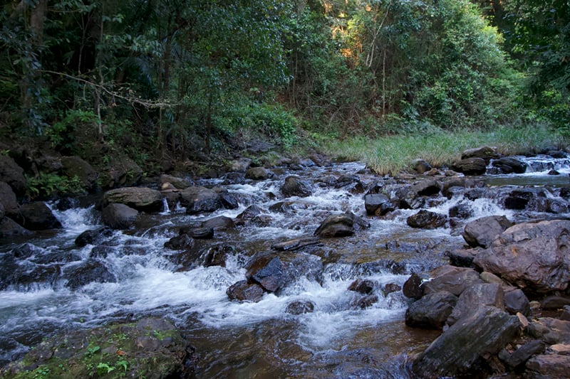 Water rushing over boulders in a forest stream near Manikya Dhara Falls