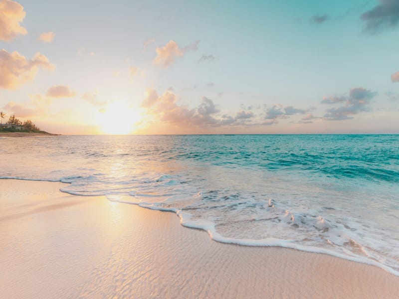 Sunset over a palm-fringed beach near Port Blair, Andaman Islands