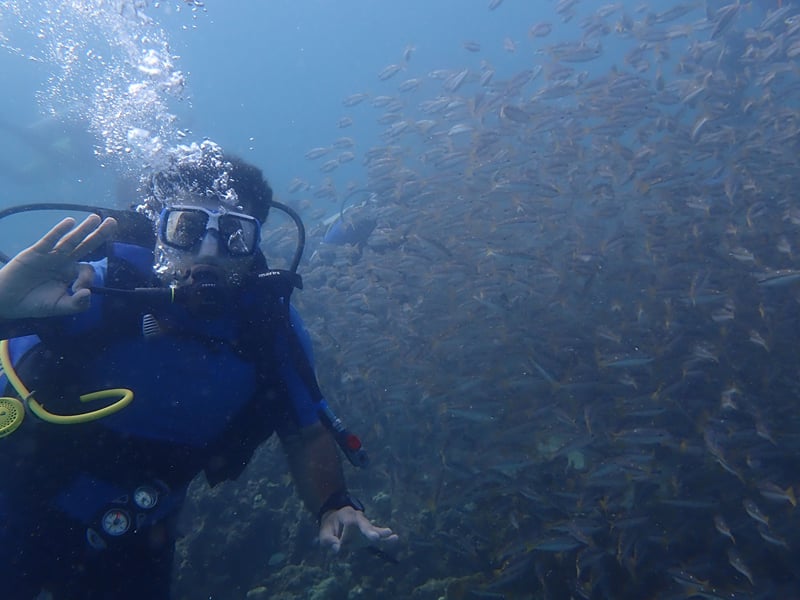 Diver in a blue wetsuit surrounded by a dense shoal of small silver fish | Shirgaonkar Beach Resort