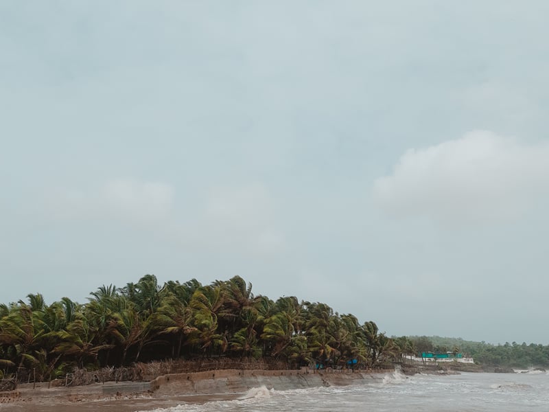 Low palm-covered spit of land seen across pale water under an overcast sky | Shirgaonkar Beach Resort