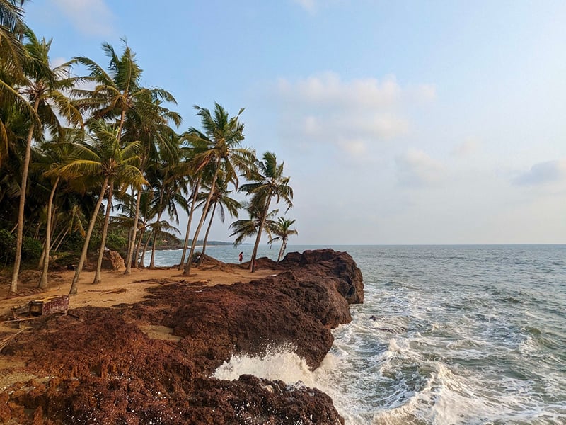 Rocky headland fringed with coconut palms above waves breaking on the shore | Shirgaonkar Beach Resort
