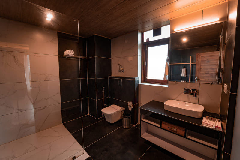 A shower and toilet interior in one of the standard rooms at Nazaara Luxe Retreat