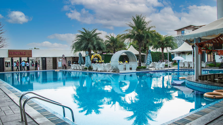 Swimming pool with palm trees, a white cabana and a steel pool ladder under a bright blue sky