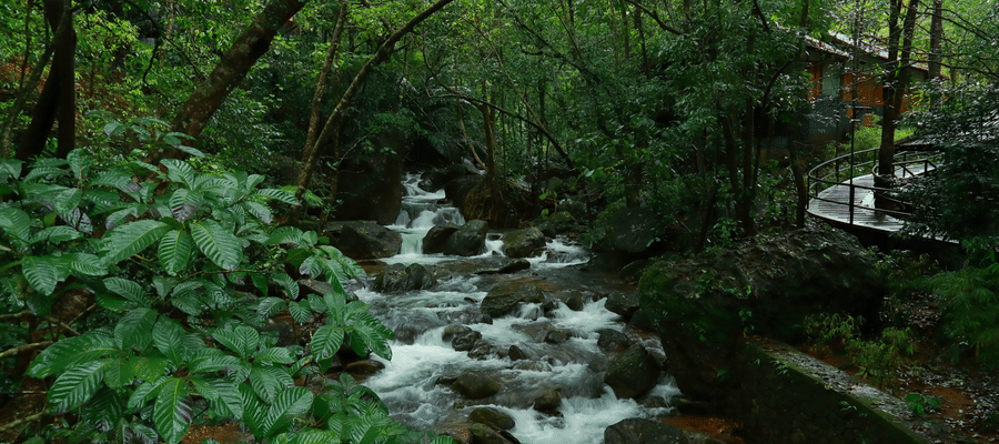 Vythiri