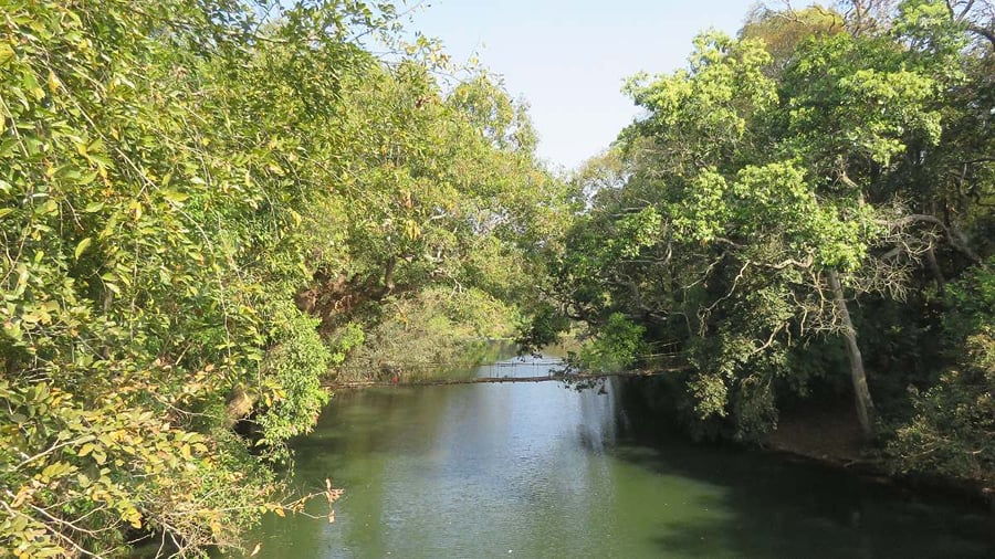 The Kaveri river at Nisargadhama, Kushalnagar